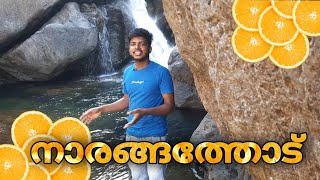 നാരങ്ങത്തോട് വെള്ളച്ചാട്ടം  | kozhikode tourist attraction | Vascodans vlog |