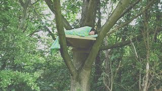 I Spent the Night in a Tree \u0026 It Was a Huge Mistake (Sleep in a Tree Challenge)