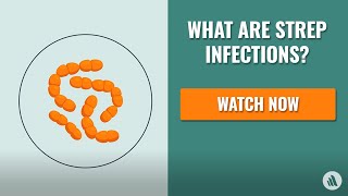 Strep Infections: The Causes, Symptoms, and Diagnosis | Merck Manual Consumer Version Quick Facts