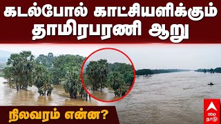 Thamirabarani river | கடல்போல் காட்சியளிக்கும் தாமிரபரணி! நிலவரம் என்ன? | Nellai rain | Nellai flood