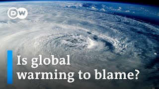Are rising temperatures fueling ALL extreme weather? | DW News