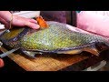 Japanese Street Food - GIANT TITAN TRIGGERFISH Sashimi Seafood Okinawa Japan