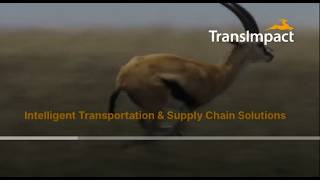 TransImpact: Stronger Margins