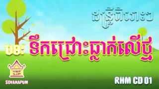 RHM, Khmer Music, Love Music, Popular Music [TERK JROUS THLEAK LER THMOR]