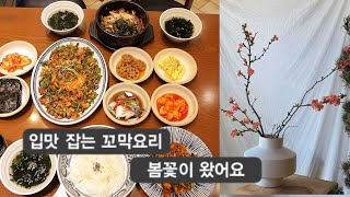 전북의 재발견-봄꽃과 쫄깃쫄깃 탱글탱글 꼬막요리, 빛나는 무주