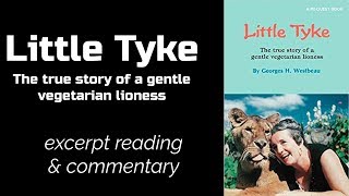 Little Tyke : The true story of a gentle vegetarian lioness [Excerpt reading]