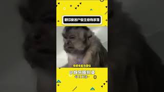 跟印度客戶做生意有多難#娛樂評論大賞