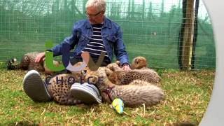 Paul O'Grady's Animal Orphans Promo