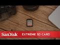 SanDisk Extreme SD Card | Official Product Overview