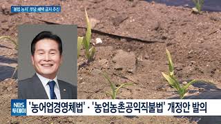 불법 임대차 농지에도 직불금 지급…제도 개선 추진