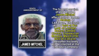 James Mitchel short
