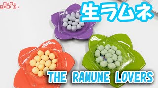 【生ラムネ】贈答用にもオススメの可愛いお菓子！