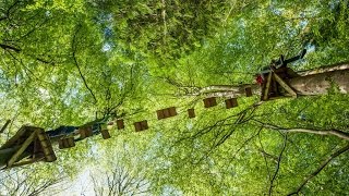 Tree Surfing in the Tamar Valley