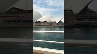 Australia Opera House \u0026 Sydney Harbour. #ytshort #nature #sydneyharbourbridge #operahouse