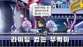 [메이플랜드] 2천만 메소만 있으면 당신도 뚜벅이 탈출