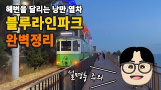 부산 여행 필수 코스! 블루라인파크 해변열차와 스카이캡슐 비교 및 꿀팁 그리고 추천코스 까지 알려드릴게요!