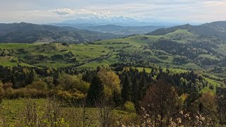 Małe Pieniny z Przełęczy pod Tokarnią na Wysoki Wierch i okolice - video #2