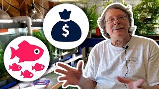Confessions of a Fish Breeding Entrepreneur