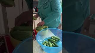 Реакция бабушки на огурцы 🥒 #бабушка #огород #дача #урожай