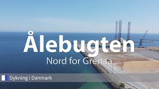 Ålebugten nord for Grenaa