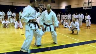 Steve Ubl Sensei - Pensacola 2012