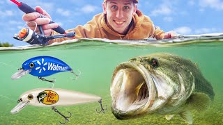 $100 Walmart vs Bass Pro Shops Fishing Challenge!