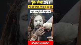 Kabootar Wale baba #mahakumbh2025 #aghoribaba #shortfeed #shorts #ytshorts