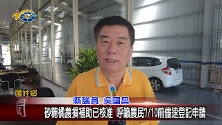 20230705 南投縣議會 民議新聞 砂糖橘農損補助已核准 呼籲農民7/10前儘速登記申請(縣議員 吳國昌)