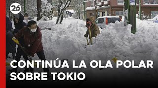 JAPÓN | Continúa la ola polar sobre Tokio