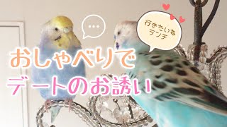 おしゃべりインコ、ランチに誘う♡