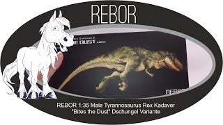 REBOR 1:35 Male Tyrannosaurus Rex Kadaver \