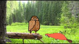 Modern Adaptations - Taiga
