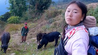 laxmi in the village with her son Sapten \u0026 neighbor aunty || village life in Nepal || laxmi rai ||