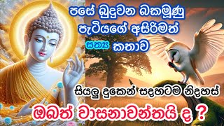 සිත් පහන් වී පසේ බුදුබව ලබන බකමූණු පැටියගෙ අසිරිමත් කතාව🙏