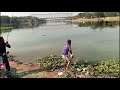 সাদিপুর নদীর কাতলা মাছ bigfish carpfishing rivermonsters river catlafishing catlafish