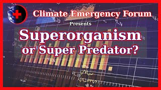 Superorganism or Super Predator?