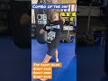 Combo of the day - Muay Thai Jab Cross Hook Right Kick Right Knee Right Kick