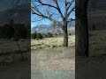 Driving near Garden of the Gods