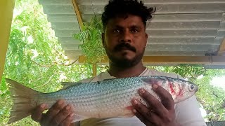 முறு முறு மீன் போண்டா / Crispy fish bonda recipe | Delicious Seafood