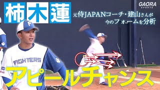 チャンスを掴みたい柿木蓮！建山さんがフォームを解説【2/7 ファイターズキャンプ】（北海道日本ハムファイターズ）