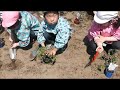 夏野菜苗植え～2012 5 22若草幼稚園～