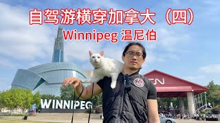 SUV自改房车｜带猫自驾游横穿加拿大（四）Winnipeg温尼伯｜Crossing Canada with a Cat - Toronto to Vancouver