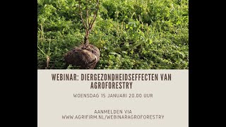 Webinar Ik oogst mee - diergezondheidseffecten van agroforestry