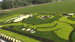 2012年8月24日 食蒲團 - 北海道之旅 Day 2