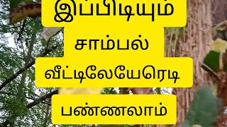 உங்கள்  செடிகளுக்கு  பொட்டாசியம் சத்து தழைசத்து மணிச்சத்து‌கிடைக்க இந்த உரம் கொடுங்க 👍👌🌹❤️💐