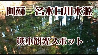 名水白川水源　熊本阿蘇観光スポット