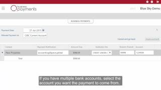 PaymentEvolution Business Payments