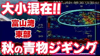 【ジギング】東部エリアで小型青物が混じり始める【富山湾】