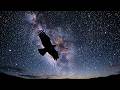 Unfurling (Official Videoclip) — Ambient Soundscapes & Twilight Journey