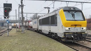 NMBS SNCB Treinen In (Schaarbeek station) (+Klaxons) 13/12/2024 \u0026 14/12/2024